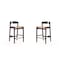 Manhattan Comfort Klismos Counter Stool in Camel and Dark Walnut (Set of 2) 2-CS007-CL - alternate 1
